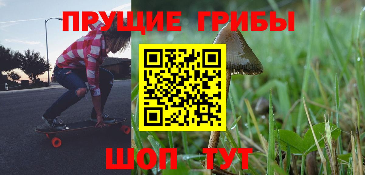 Псилоцибиновые грибы прущие грибы Чайковский